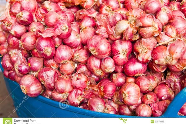 Kraken onion вход