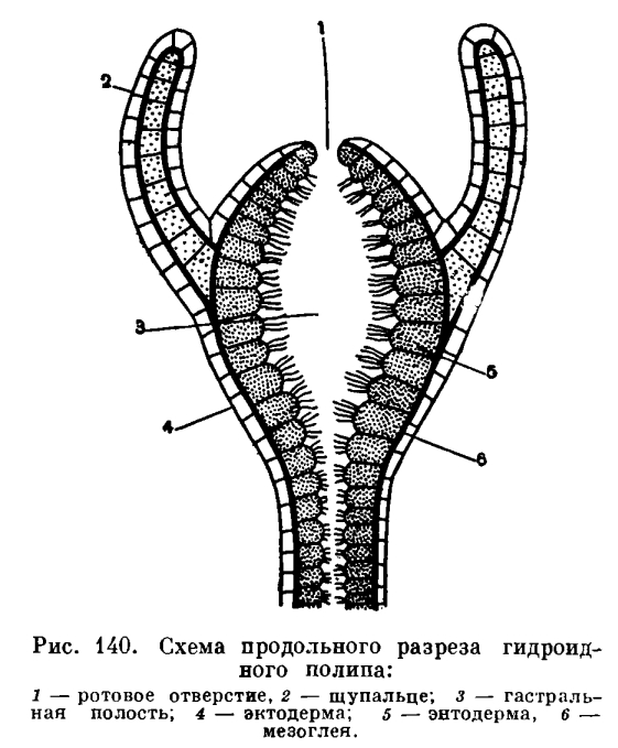 Kra36at